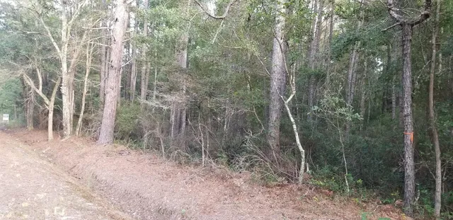 $30,000 | 0 Buckhead Road, Smoaks, SC 29481