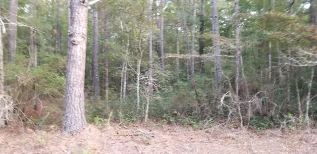 $30,000 | 0 Buckhead Road, Smoaks, SC 29481