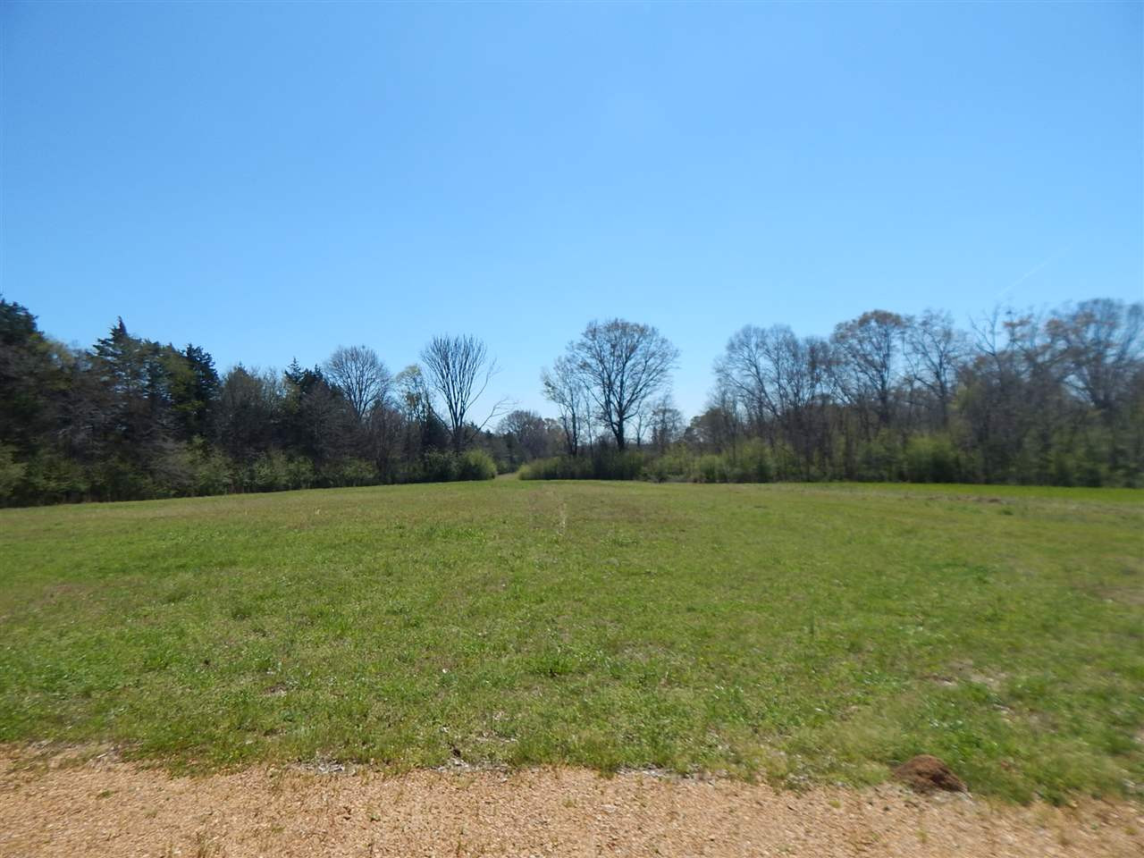 0 Newport Road Lexington, MS 39095 - Photo 1 of 41 Photo 1