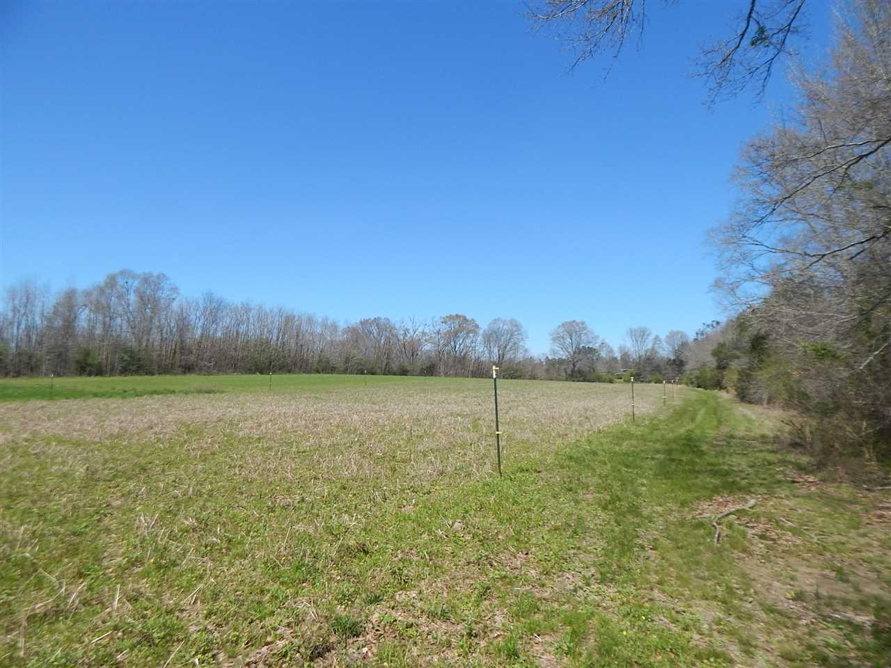 0 Newport Road Lexington, MS 39095 - Photo 12 of 41 Photo 13