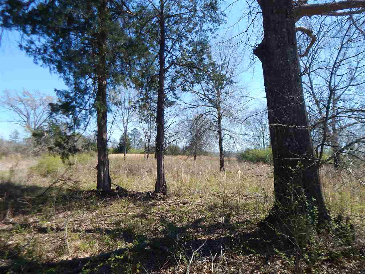 0 Newport Road Lexington, MS 39095 - Photo 17 of 41 Photo 18