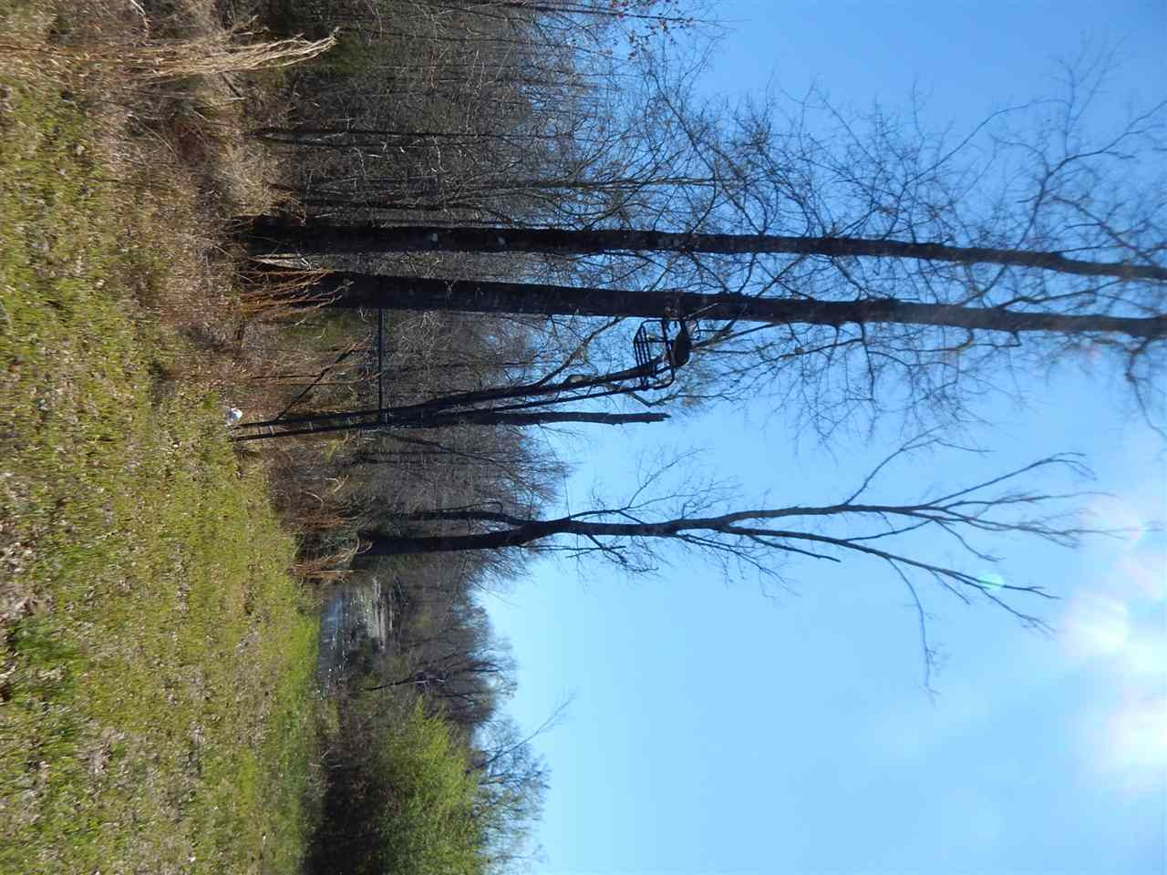 0 Newport Road Lexington, MS 39095 - Photo 24 of 41 Photo 25