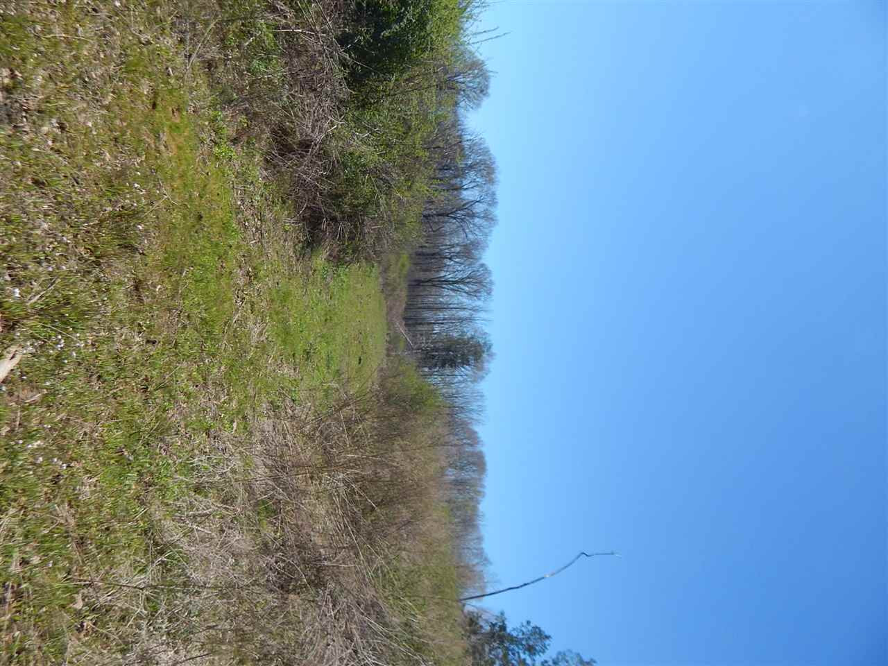 0 Newport Road Lexington, MS 39095 - Photo 25 of 41 Photo 26