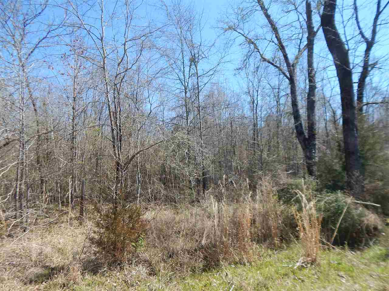 0 Newport Road Lexington, MS 39095 - Photo 26 of 41 Photo 27