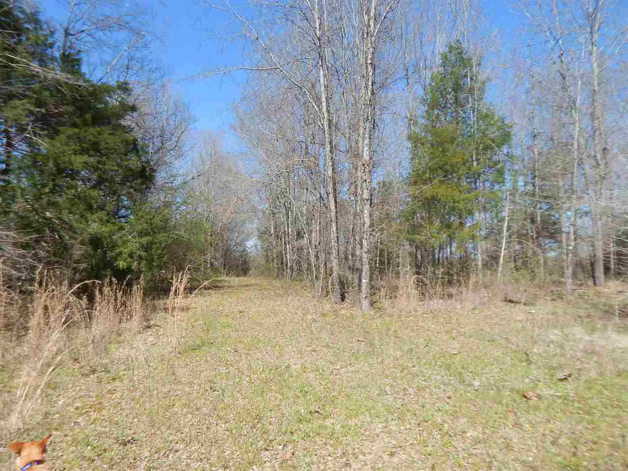 0 Newport Road Lexington, MS 39095 - Photo 33 of 41 Photo 34