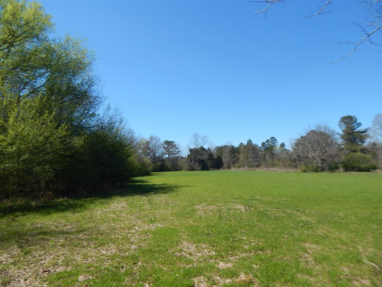 0 Newport Road Lexington, MS 39095 - Photo 34 of 41 Photo 35
