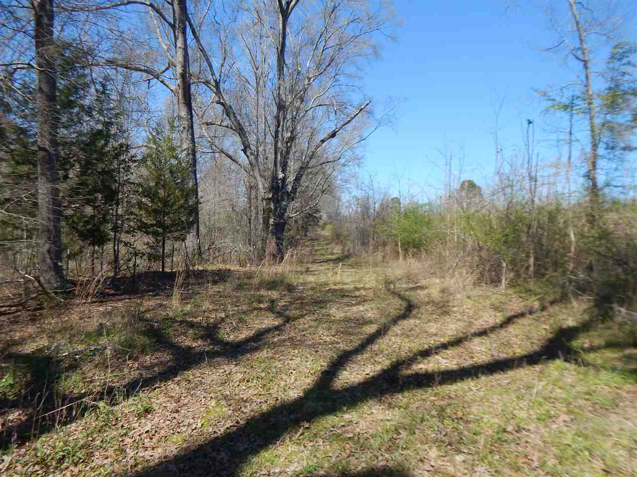 0 Newport Road Lexington, MS 39095 - Photo 35 of 41 Photo 36