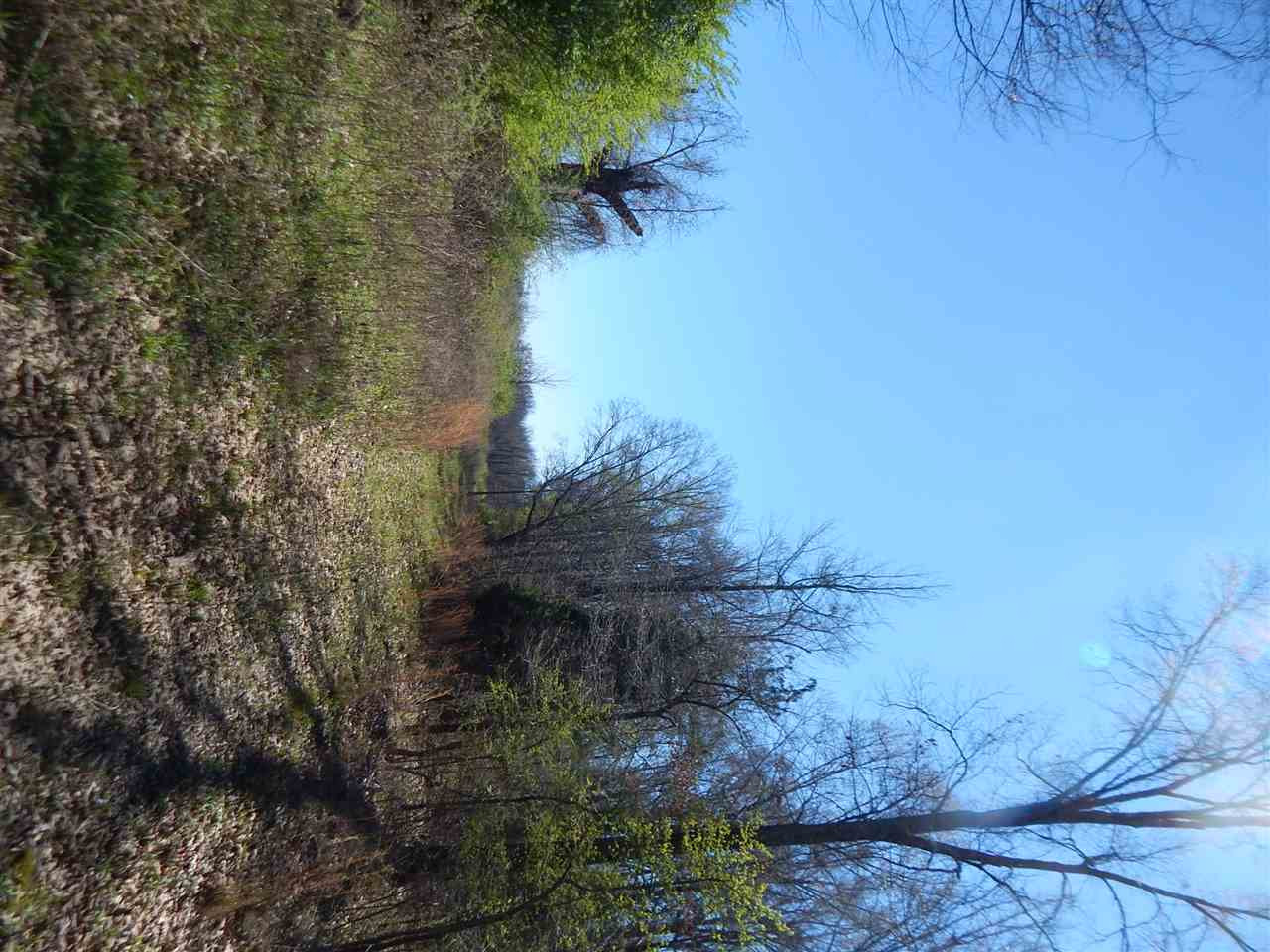 0 Newport Road Lexington, MS 39095 - Photo 36 of 41 Photo 37
