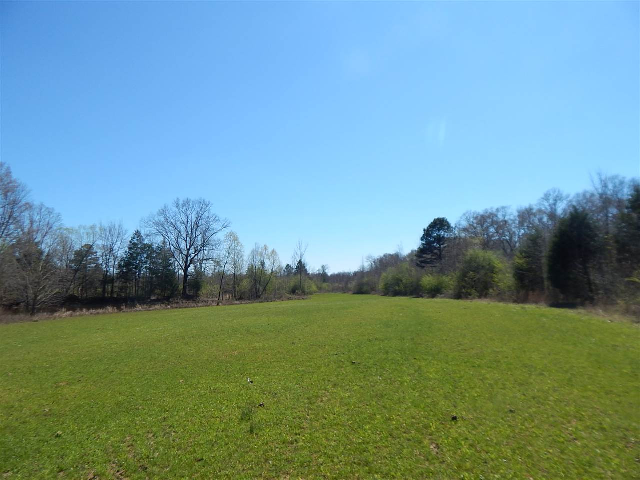 0 Newport Road Lexington, MS 39095 - Photo 38 of 41 Photo 39