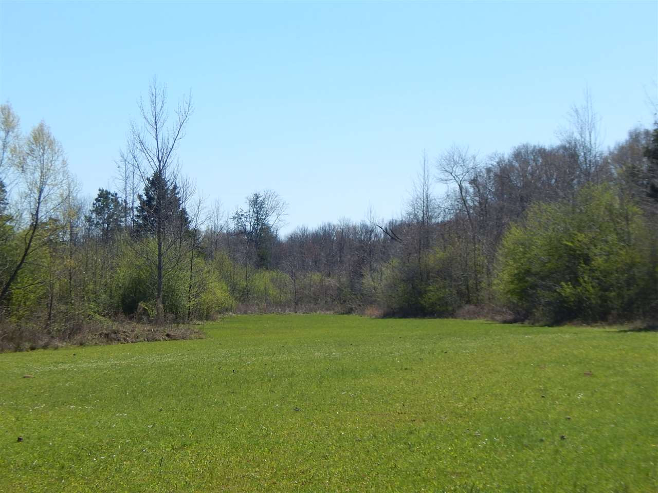 0 Newport Road Lexington, MS 39095 - Photo 40 of 41 Photo 41
