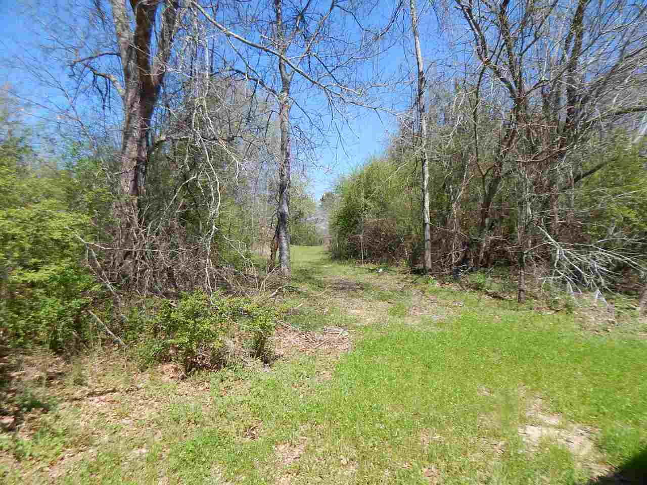 0 Newport Road Lexington, MS 39095 - Photo 10 of 41 Photo 11