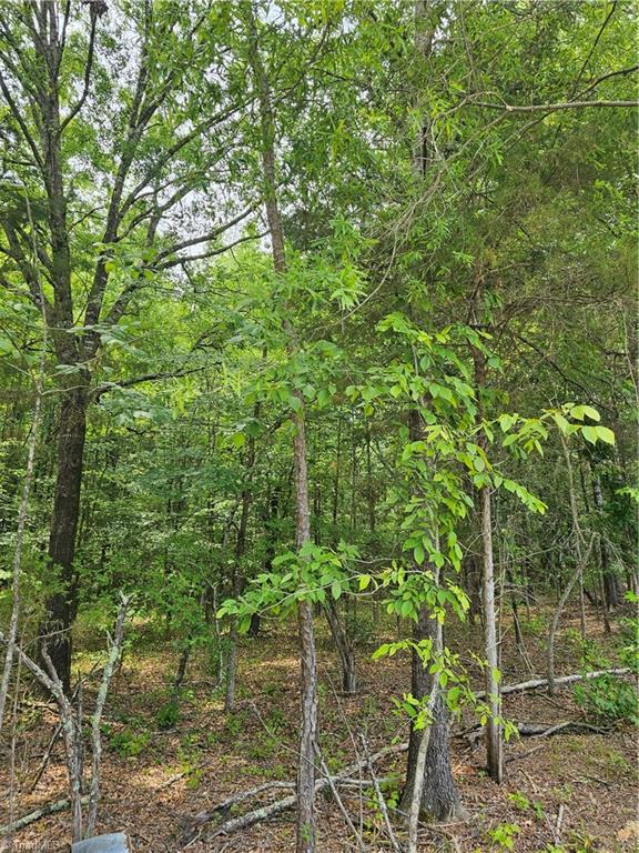 906 New Cut Road Lexington, NC 27292 - Photo 4 of 6 Gallery Image 4