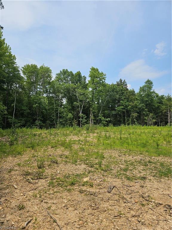 906 New Cut Road Lexington, NC 27292 - Photo 6 of 6 Gallery Image 6