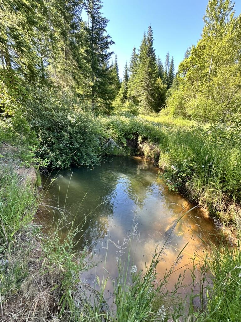 780 Tunnel Road Glendale, OR 97442 - Photo 24 of 25 256C77D2-F490-47EE-9340-DC89DF41264D_1_1