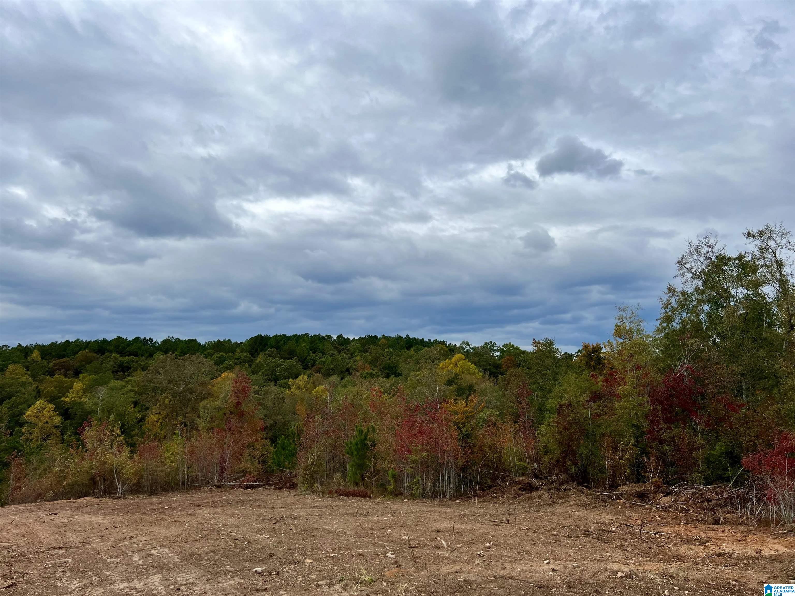 0 County Road 4 Wedowee, AL 36278 - Photo 16 of 24