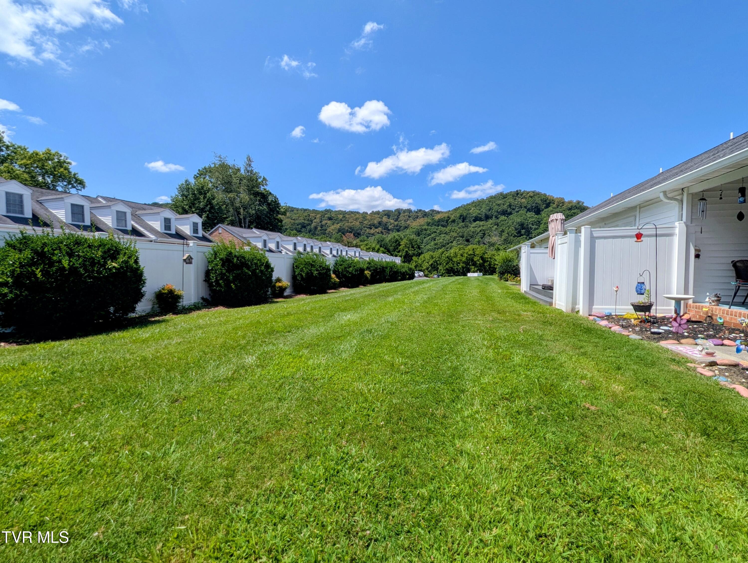 521 Hickory Road, Unit 521 Bristol, TN 37620 - Photo 28 of 53 Backyard,