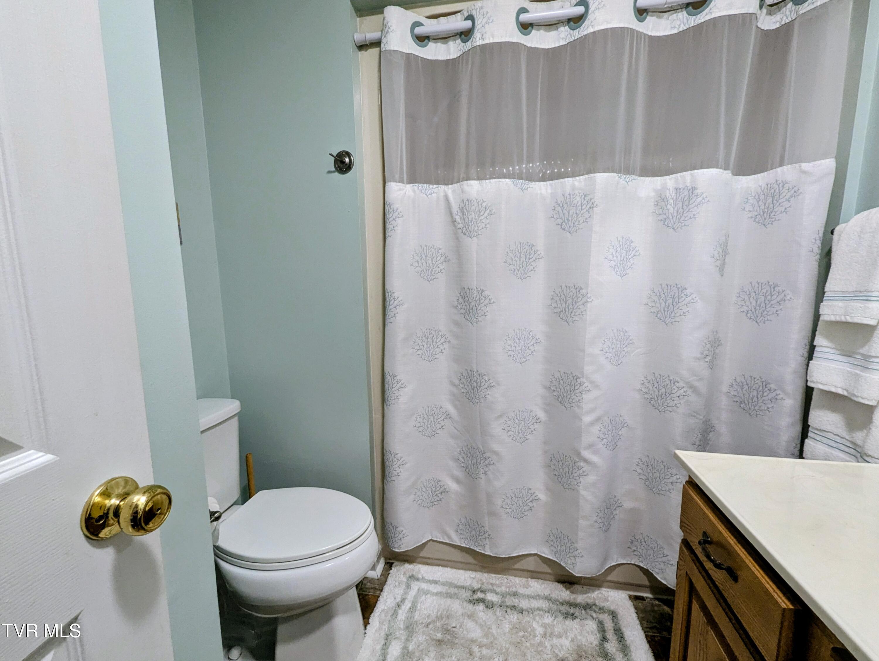 521 Hickory Road, Unit 521 Bristol, TN 37620 - Photo 8 of 53 DownstairsBathroom.