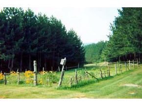 998 Lafont Road Albany, VT 05875 - Photo 4 of 5