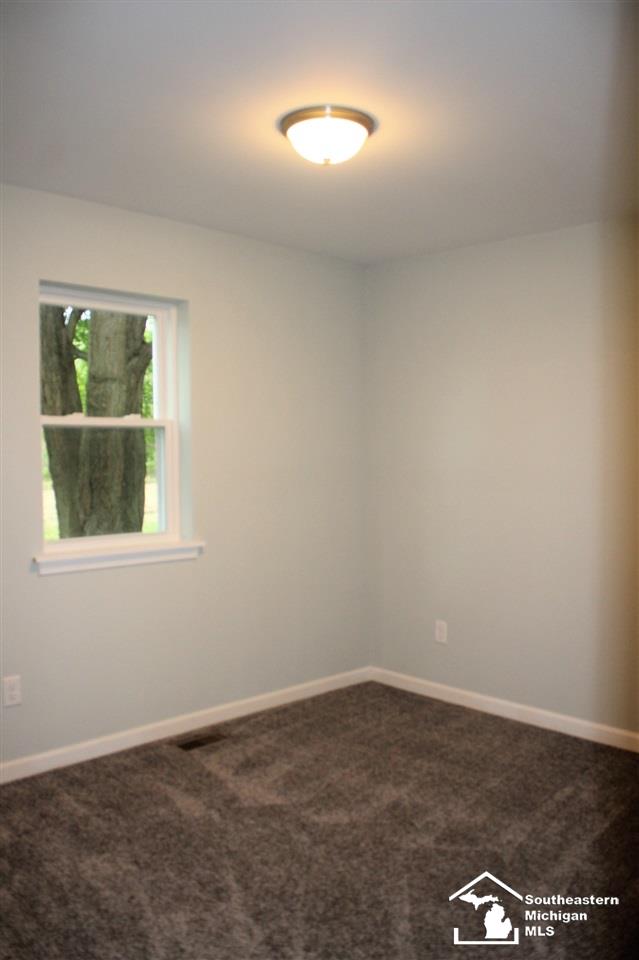 16244 Lulu Road Petersburg, MI 49270 - Photo 20 of 31 31396947-19.JPG