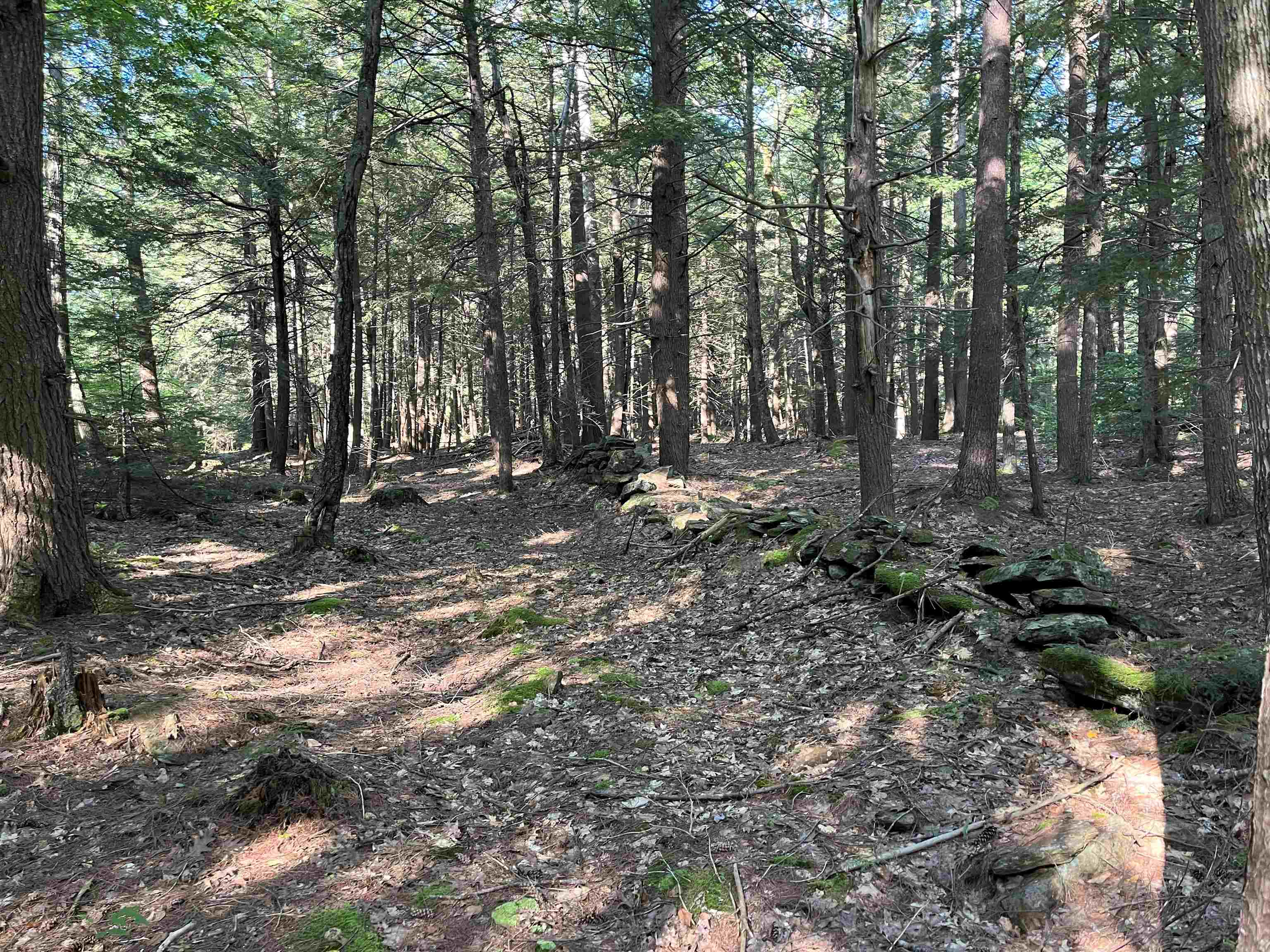 Bryant Road Jaffrey, NH 03452 - Photo 8 of 12