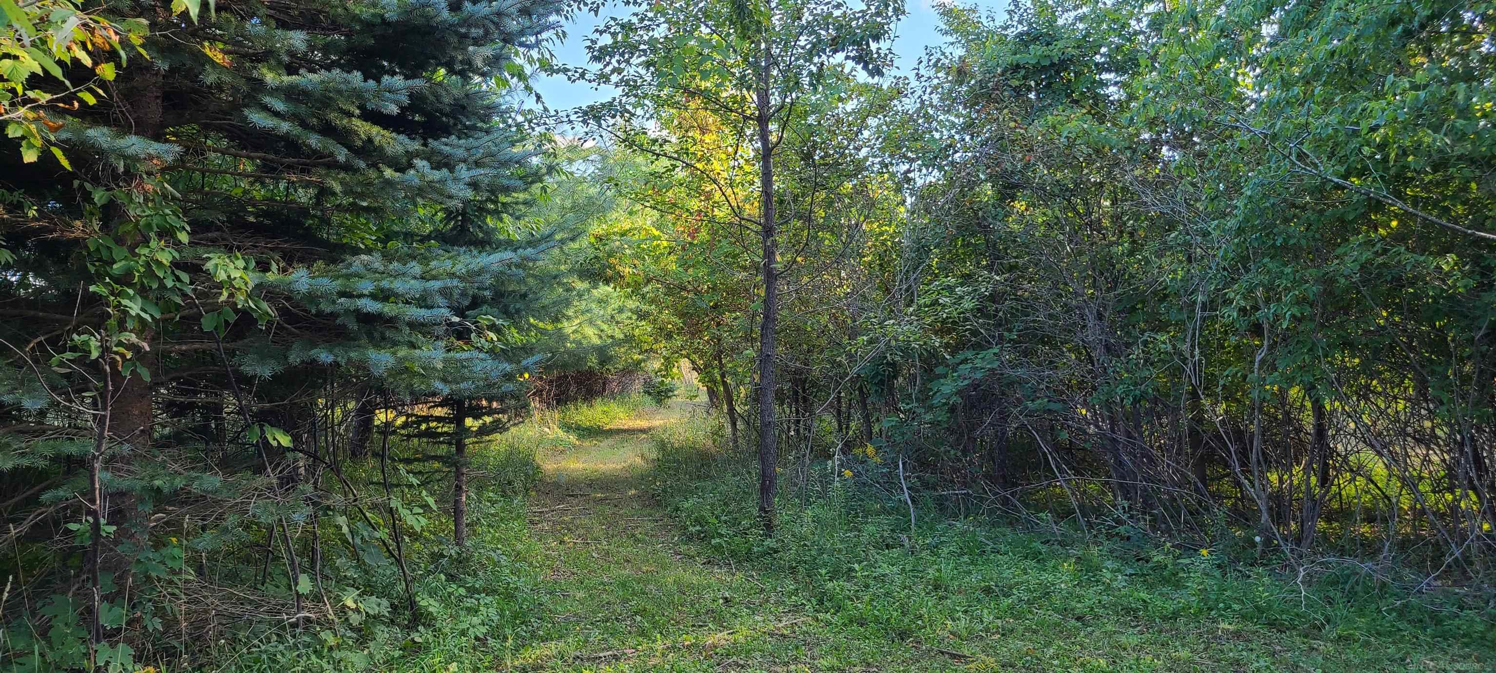 Vl Babcock Road Lexington, MI 48450 - Photo 12 of 14