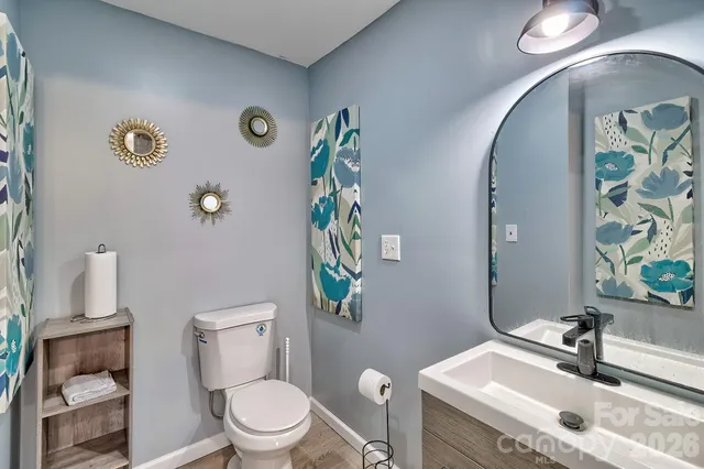 a bathroom with a sink mirror vanity and toilet