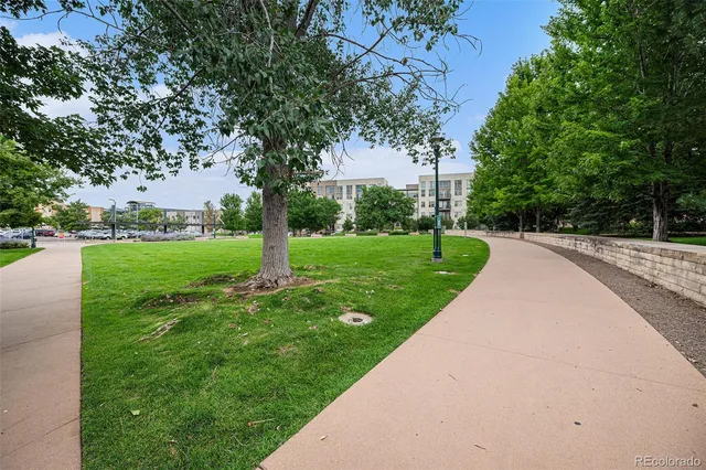 a view of a park with large trees