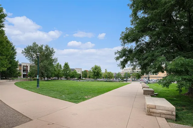 a view of a park with large trees