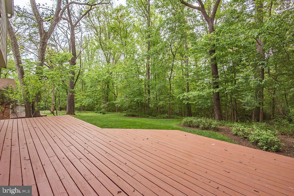 2302 Short Ridge Road Reston, VA 20191 - Photo 45 of 63