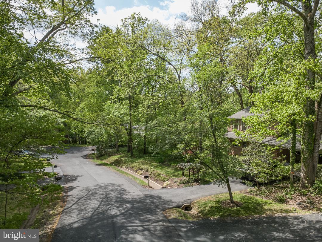 2302 Short Ridge Road Reston, VA 20191 - Photo 49 of 63