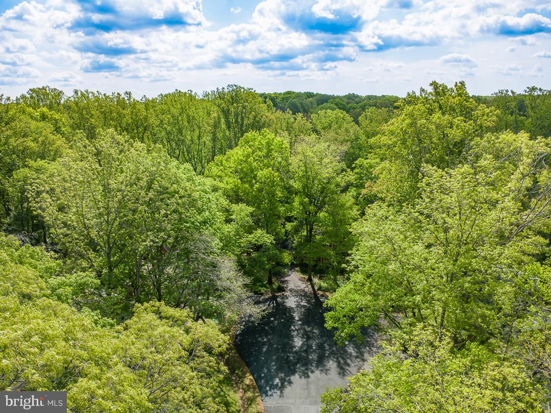 2302 Short Ridge Road Reston, VA 20191 - Photo 51 of 63