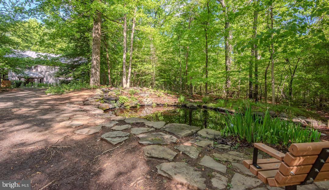 2302 Short Ridge Road Reston, VA 20191 - Photo 59 of 63