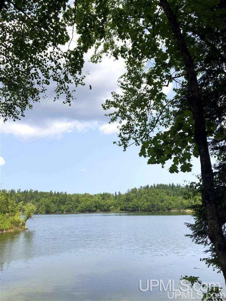 Tbd Deer Lake Road Ishpeming, MI 49849 - Photo 13 of 47