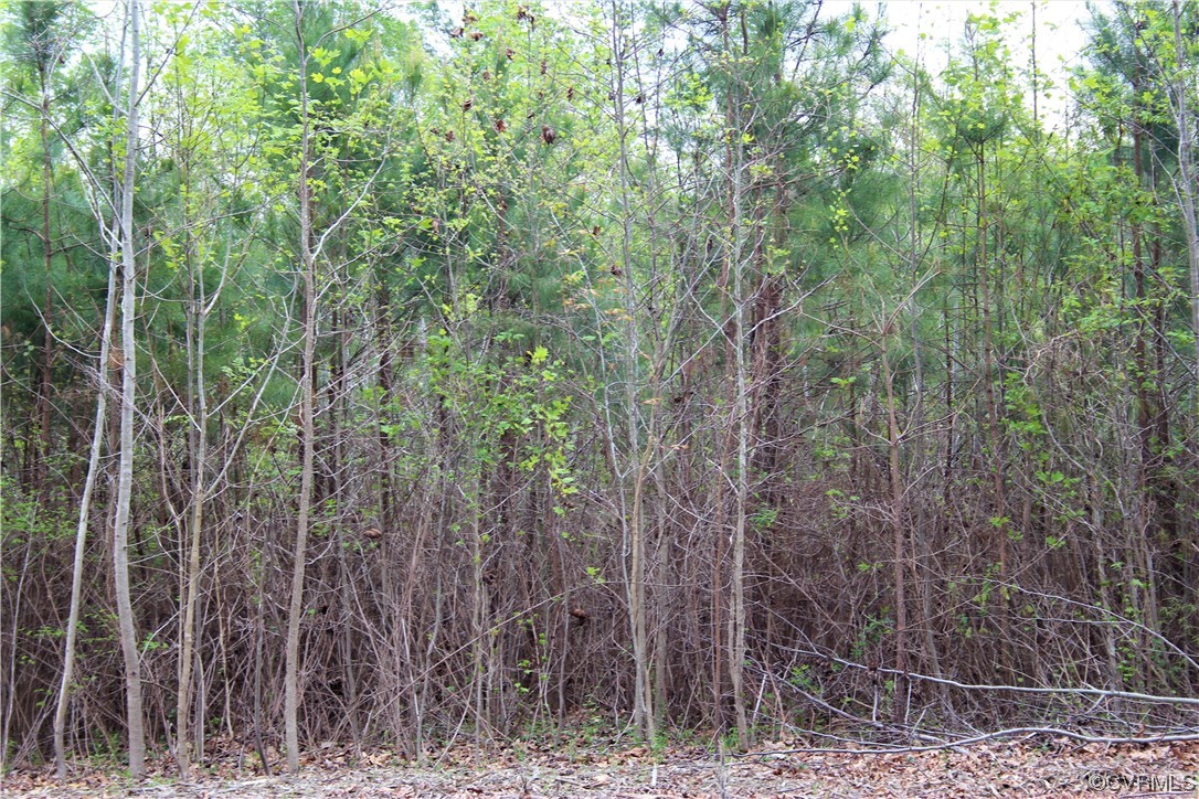 1940 Manakintown Ferry Road Midlothian, VA 23113 - Photo 5 of 5 Gallery Image 5