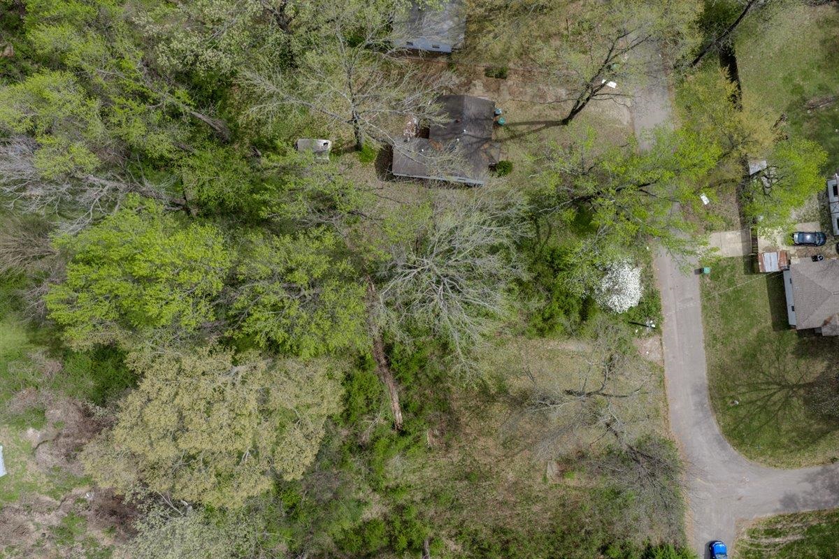 0 Glen Road Memphis, TN 38127 - Photo 2 of 5 a view of a dry yard with plants and large trees
