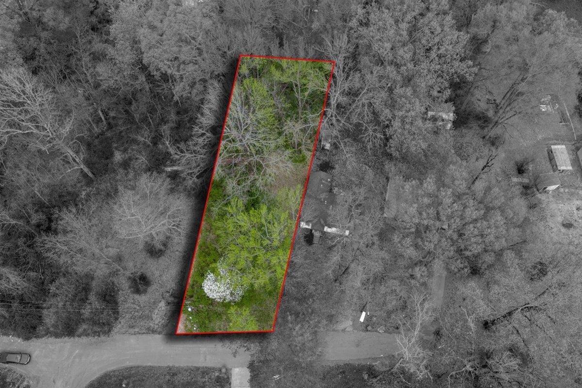 0 Glen Road Memphis, TN 38127 - Photo 4 of 5 a picture of trees