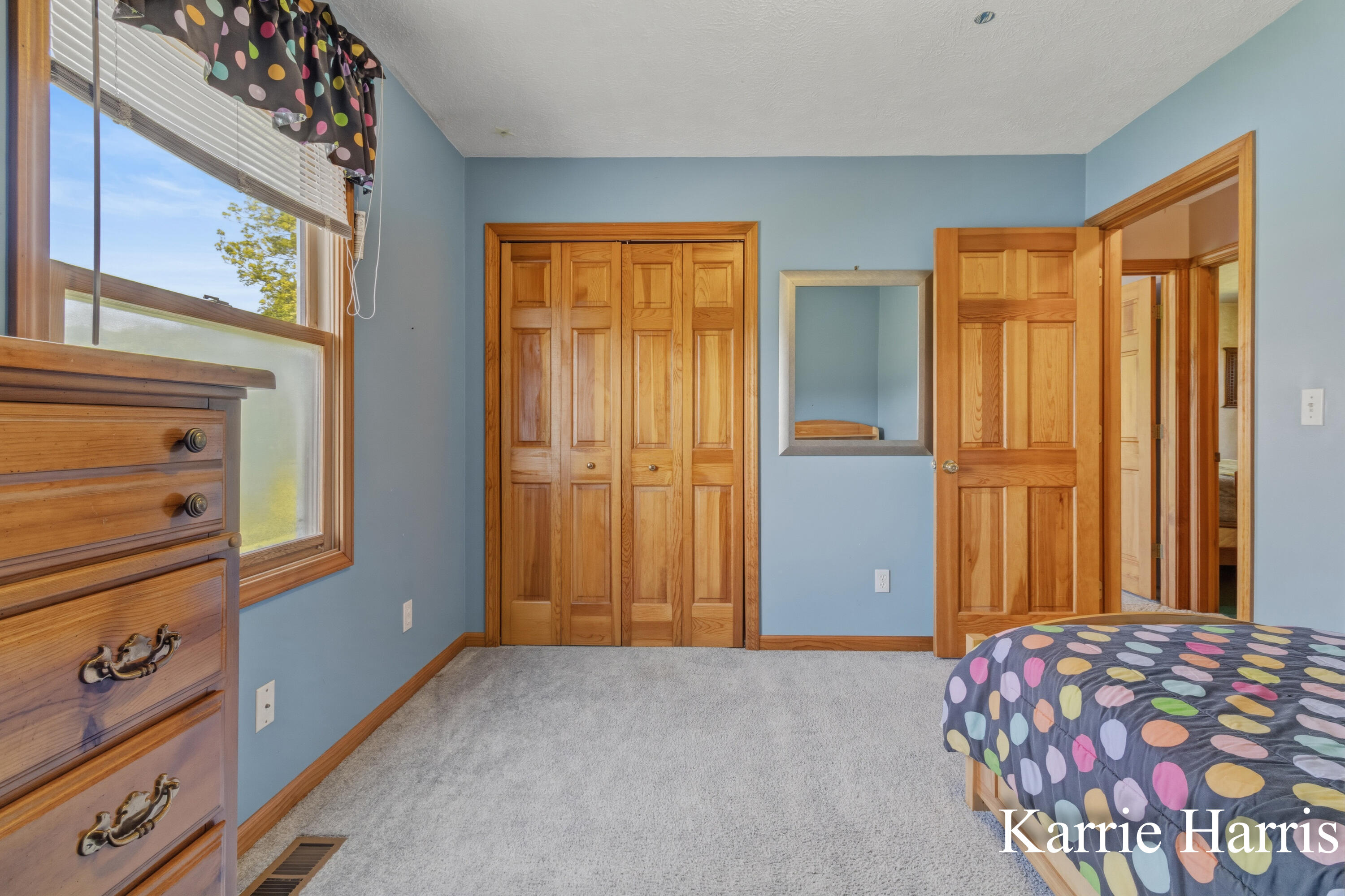 6048 Cedar Lake Road Southeast Sheridan, MI 48884 - Photo 19 of 39 Bedroom 3