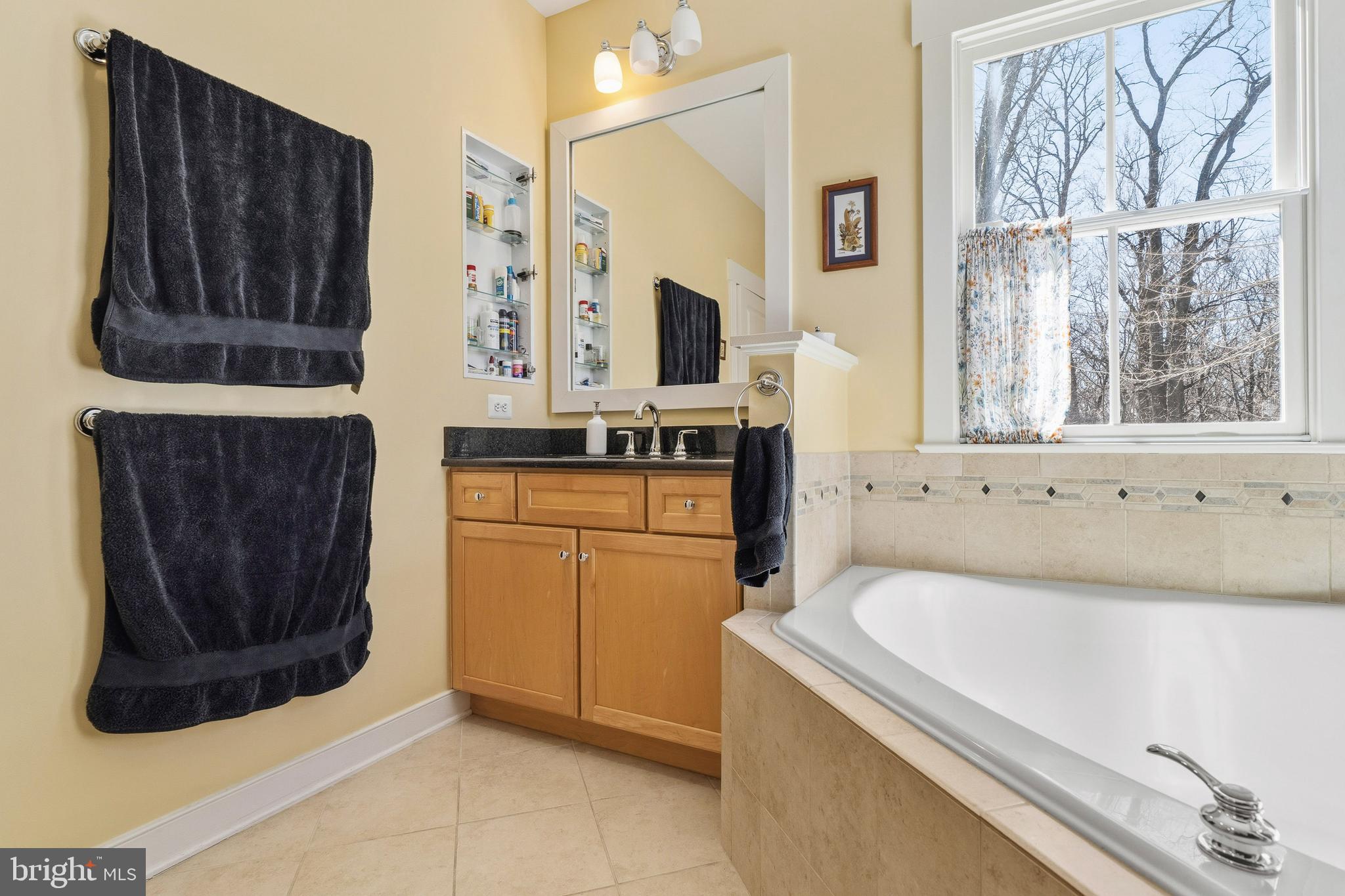 9530 Ament Street Silver Spring, MD 20910 - Photo 30 of 55 a bathroom with a tub sink and mirror