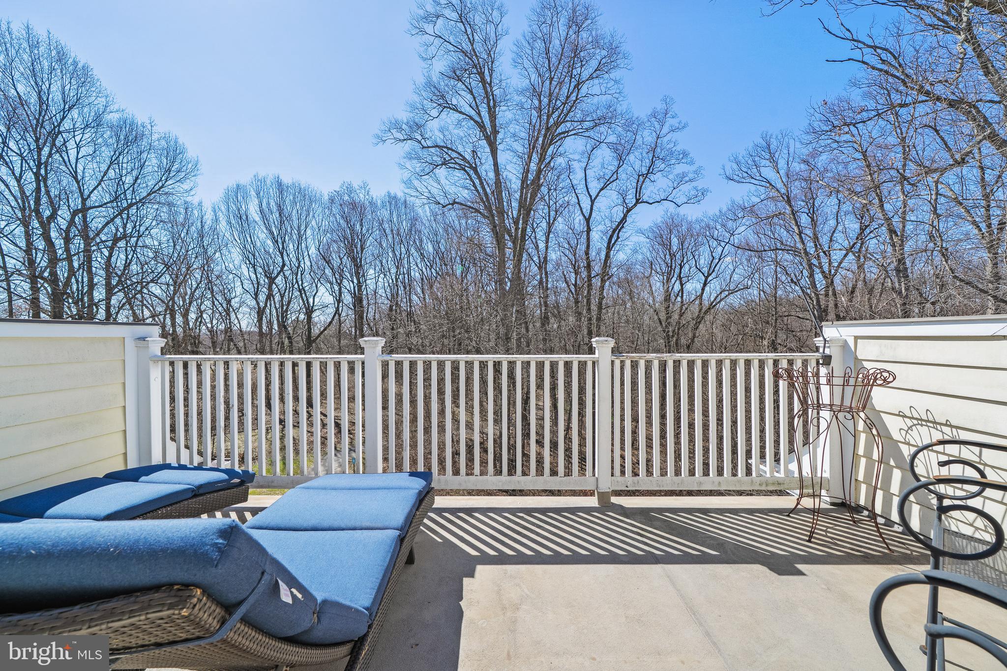 9530 Ament Street Silver Spring, MD 20910 - Photo 38 of 55 Roof Terrace off the Studio