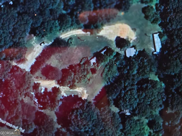 a picture of flowers