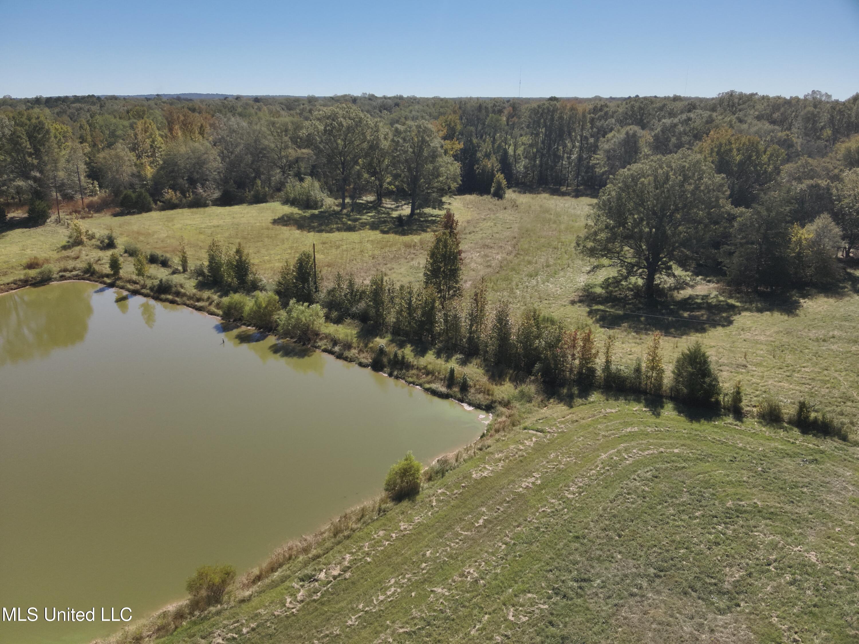 2470 Stigger Road Jackson, MS 39209 - Photo 3 of 11 DJI_20241017112051_0002_V