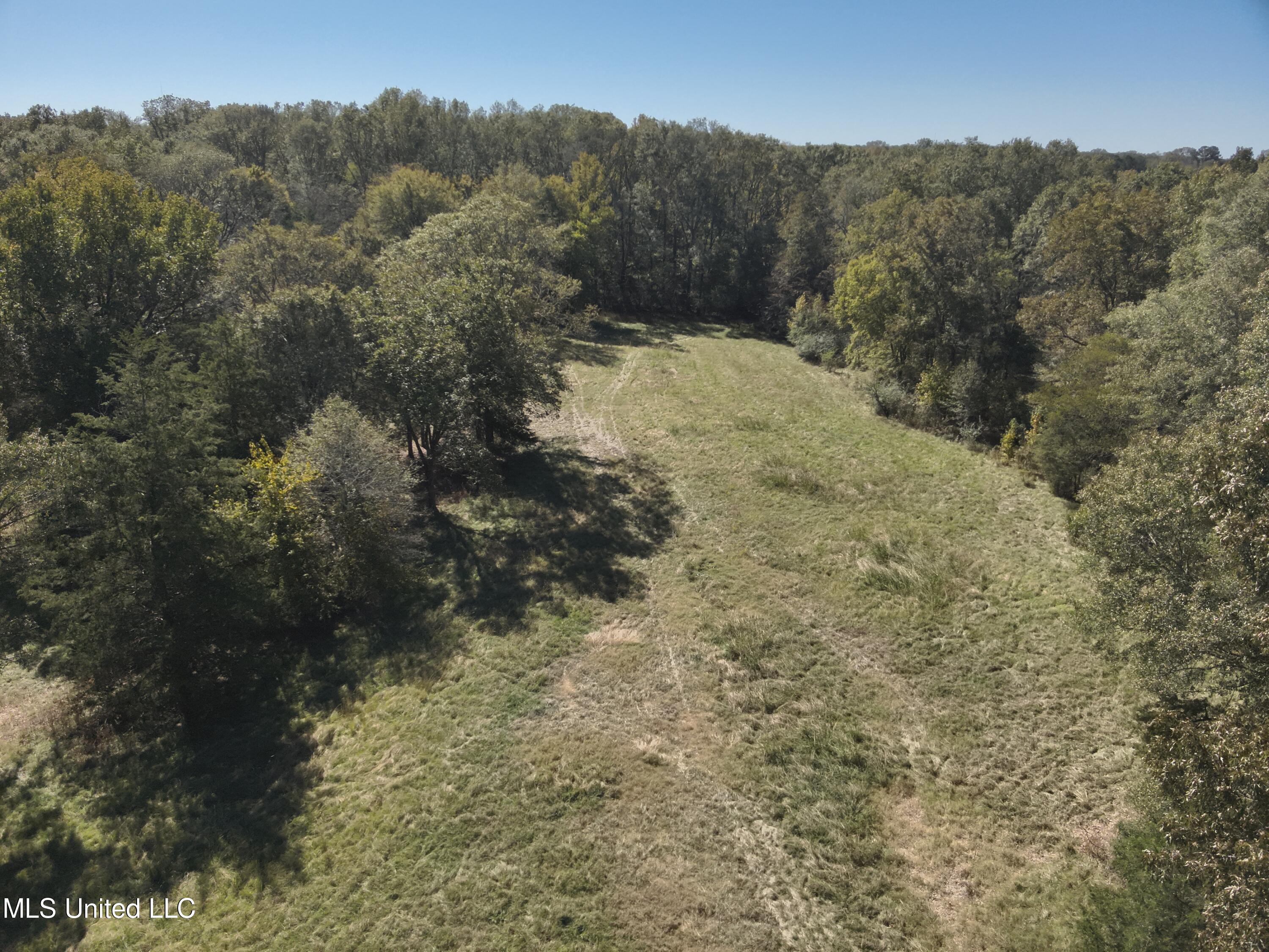2470 Stigger Road Jackson, MS 39209 - Photo 5 of 11 DJI_20241017112119_0004_V