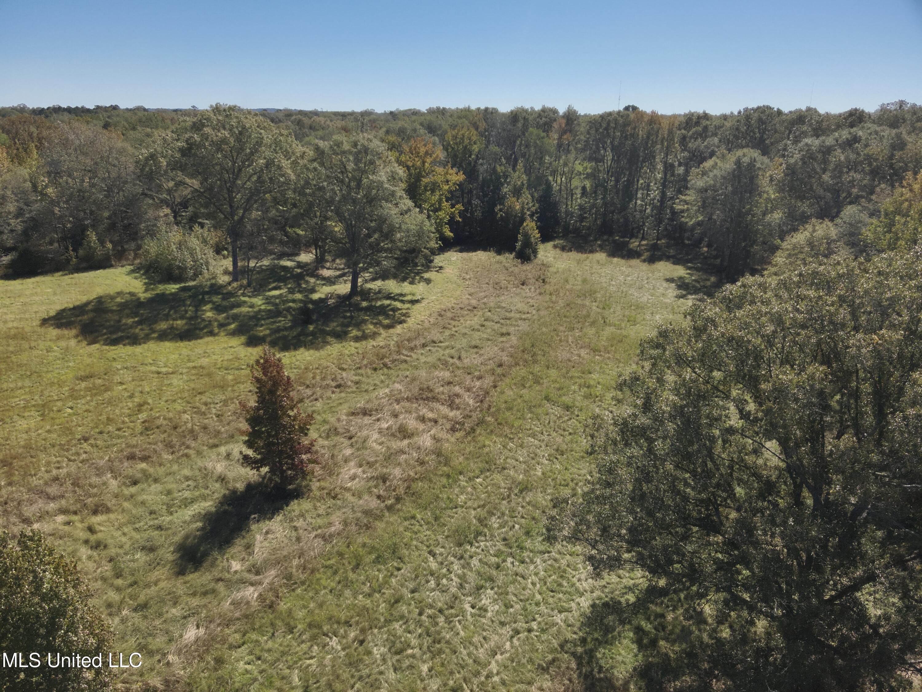 2470 Stigger Road Jackson, MS 39209 - Photo 6 of 11 DJI_20241017112142_0005_V