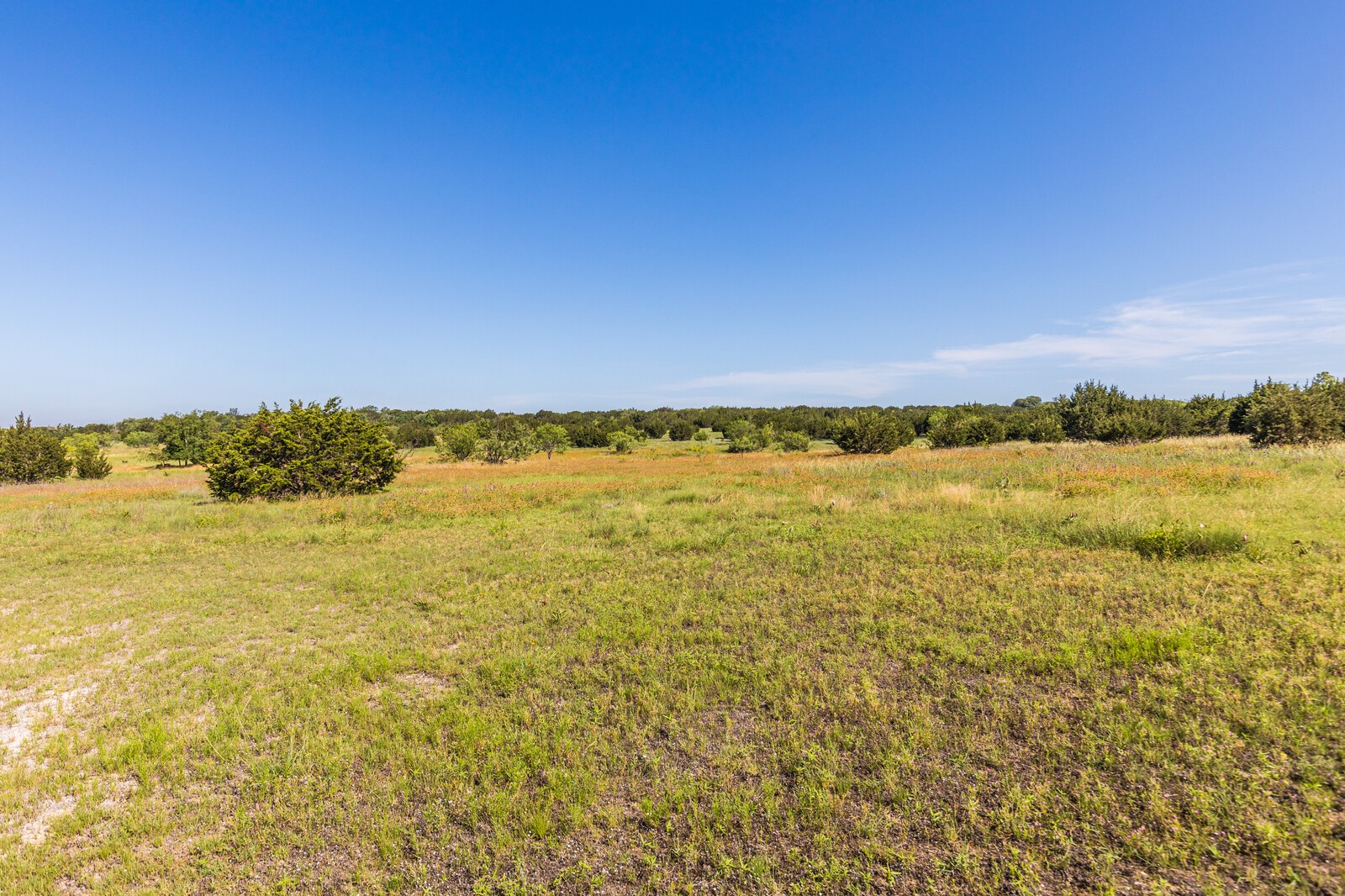 3300 County Road 3300 Kempner, TX 76539 - Photo 19 of 24