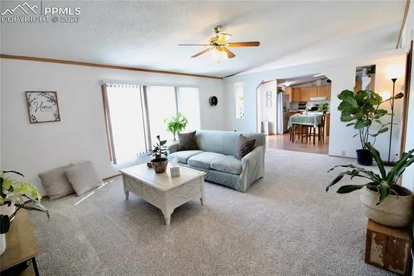 a living room with furniture and a potted plant