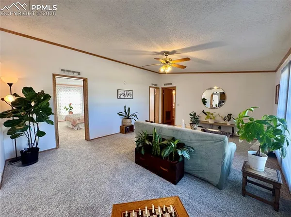 a living room with furniture and potted plant