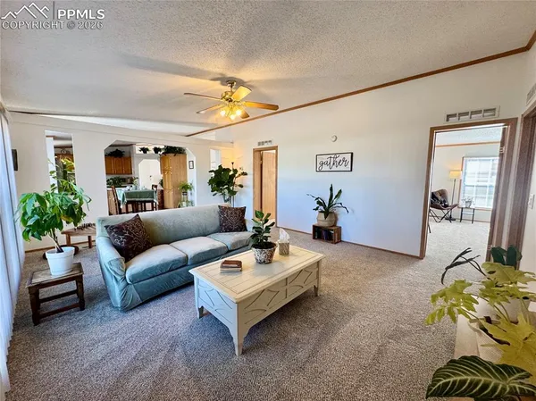 a living room with furniture and a potted plant