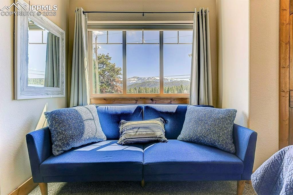 140 Dewell Road Woodland Park, CO 80863 - Photo 22 of 28 a living room with furniture and a window