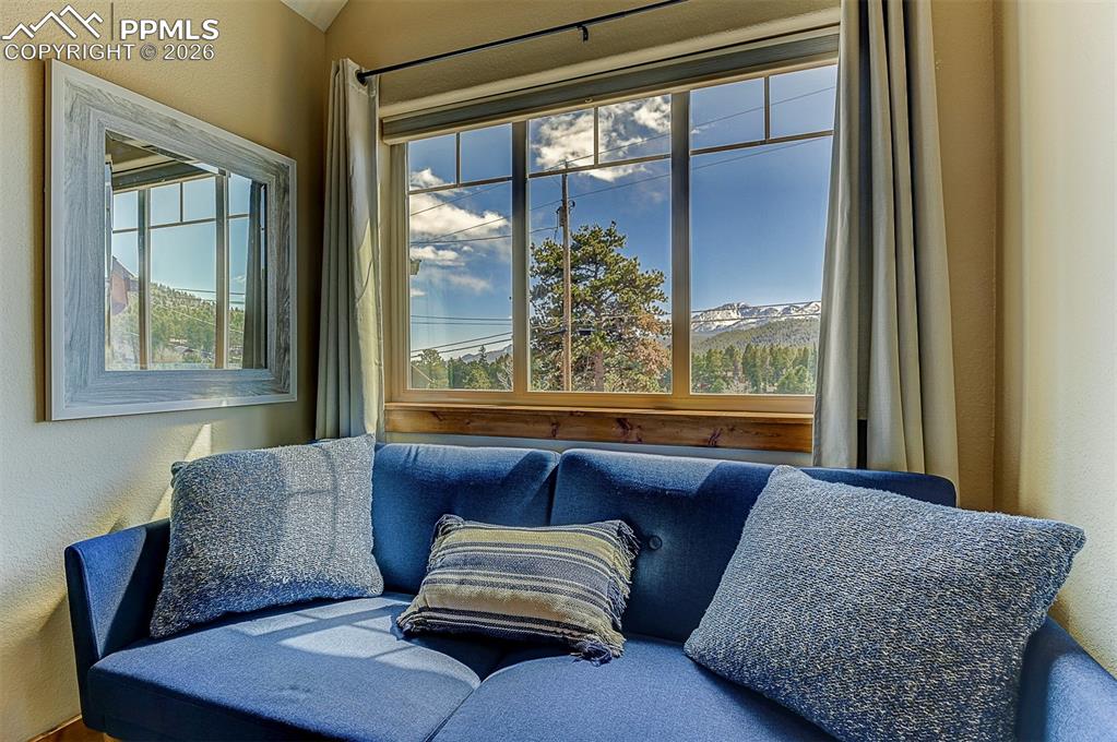 140 Dewell Road Woodland Park, CO 80863 - Photo 23 of 28 a living room with furniture and a window