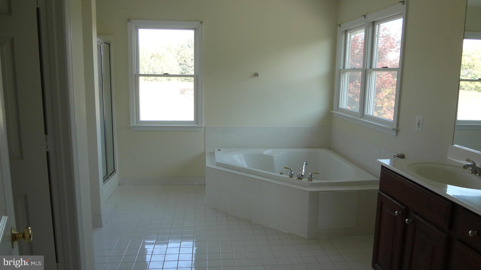 15900 Barnesville Road Boyds, MD 20841 - Photo 21 of 30 a bathroom with a tub sink and window